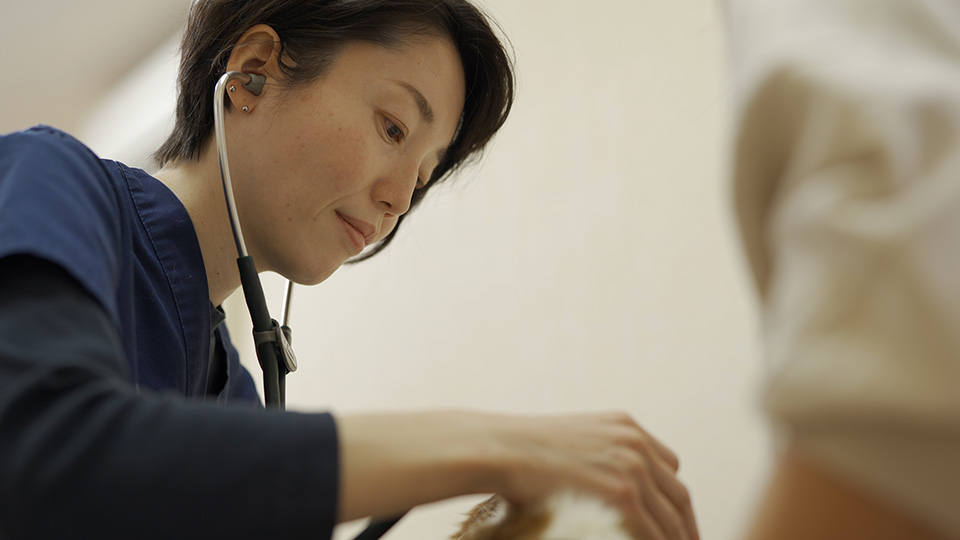 松本知子