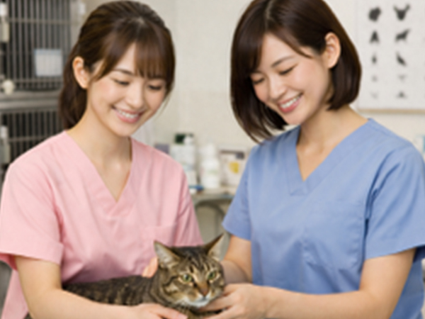 当院で働く魅力